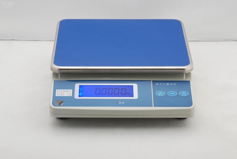 Electronic scales