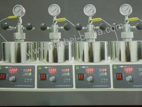 10ml-500l Parallel reactor