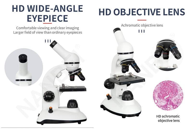 digital dental microscope